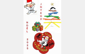 JOYEUX NOËL 2025 🎅 !!!